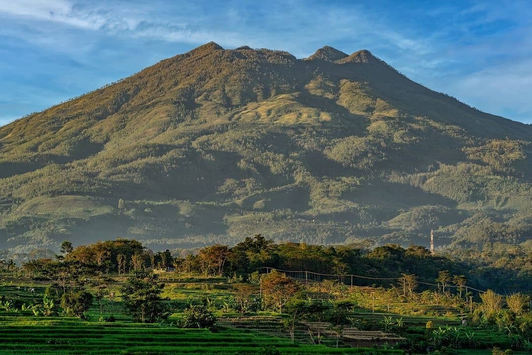 Profil Desa Sidomulyo